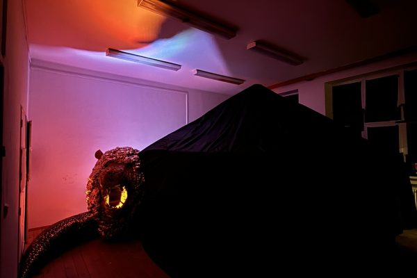 IMG_2689